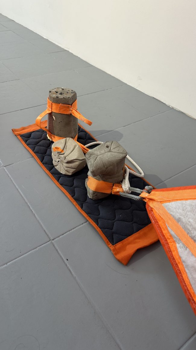 Silice & Capitons — Module de lecture