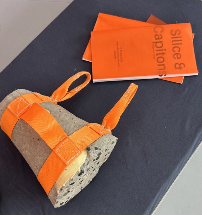 Silice & Capitons — Module de lecture