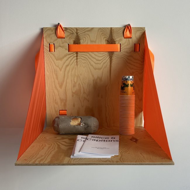 Silice & Capitons — Module de lecture